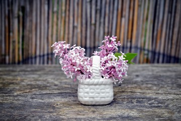 Spring lilac on wooden background. 