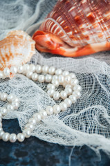 Sea cockleshells (seachells) decoration with pearl on a blue background