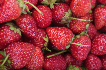 Fresh ripe strawberry