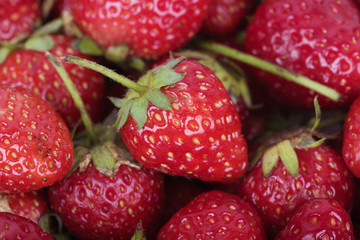 Fresh ripe strawberry