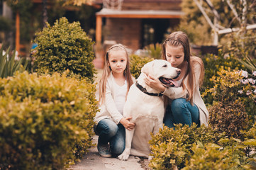 Fototapeta premium Cute children holding labrador retriever in park. Happiness.