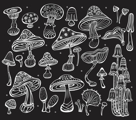 Set of Sketch of mushrooms on black