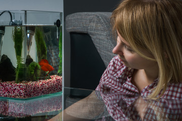 Young woman looking at beta fish in aquarium at home.