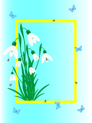 Green grass with white snowdrop on blue. Floral nature background. Vector flower with butterfly and bee in yellow frame