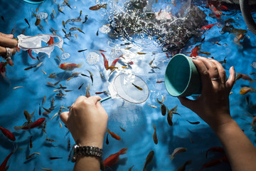 Woman hand holding paper scoop in game fish scooping at night festival of thailand