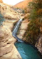 Fototapeta premium Waterfall in rocks Ein Gedi. Israel