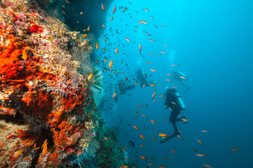 Fototapeta na wymiar Group of scuba divers exploring coral reef