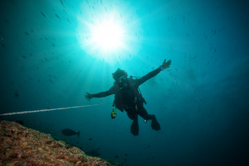 Fototapeta na wymiar Silhouette of man scuba diver between water surface and sea bottom