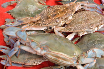 many crabs on a stall in fish market antalya turkey