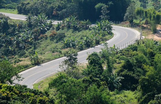 Winding roads, nature
