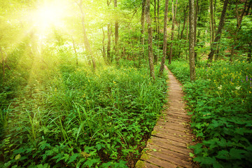 Obraz premium Wooden Walkway in Plitvice Lake National Park, Croatia