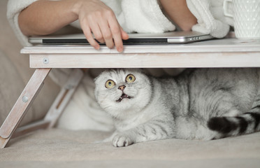 Lady playing with cat in bed. Wearing casual white attire.