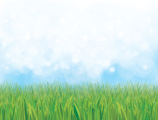 Fototapeta na wymiar Vector nature background, blue sky and green grass.