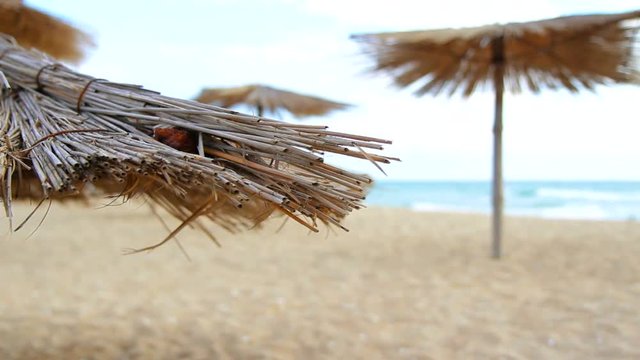 Sandy Beach With Thatched Umbrellas On A Windy Day
