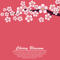 Cherry blossom spring themed banner