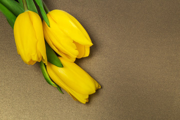 yellow tulips on paper, bronze color