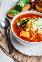 Traditional ukrainian hot soup