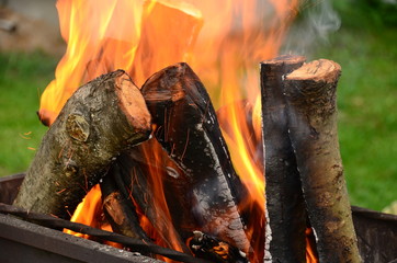 Fire - burning wood in a brazier