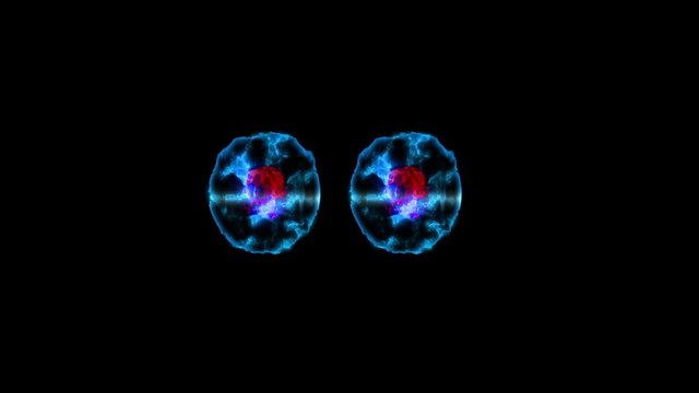process of stam cell division into more new cells under microscope, Mitosis
