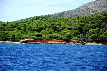 Ocean
