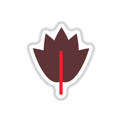 Label with leaf shadow vector icon design collection tree leaf