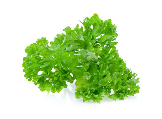 Obraz premium green leaves of parsley isolated on white background