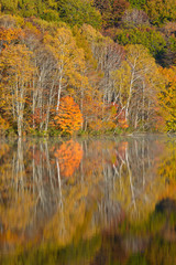 長野　戸隠高原　鏡池の紅葉