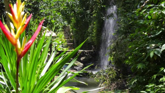 Waterfall in tropical jungles of Bali island, Indonesia