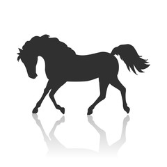 Horse Vector Illustration in Flat Design