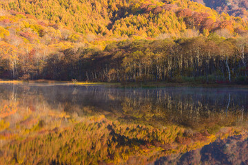 長野　戸隠高原　鏡池の紅葉