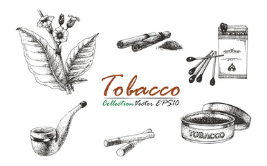 Tobacco collection vintage drawing
