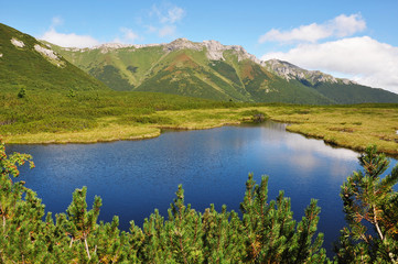Fototapeta na wymiar Lake Trojrohe Pleso in the National Park High Tatra, Slovakia