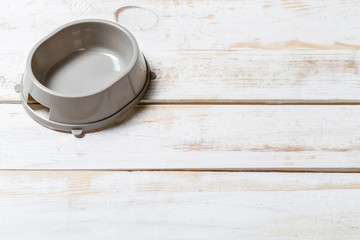 pet bowl on a grey wooden table