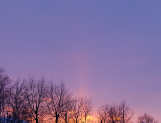 Fototapeta na wymiar The spring sky at sunset above the trees.