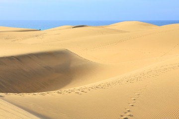 Fototapeta na wymiar Gran Canaria dunes