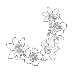 Half frame of spring flowers, decoration element, sketch vector illustration isolated on white background. Hand drawn realistic early spring flowers as half round frame, banner, label design