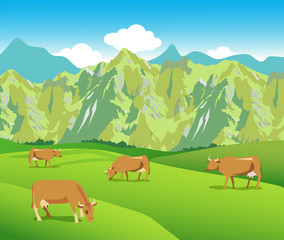 Livestock Breeding In Europe. Cows On The Alpine Meadows. Mountains Range And Green Valley. Background For Label, Sticker, Print, Packing, Web.