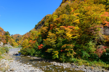 Obraz premium 長野 鬼無里 奥裾花渓谷の紅葉