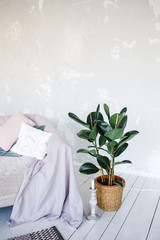 Interior in scandinavian style with pattern carpet