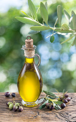 Olive oil and berries are on the wooden table under the olive tree.