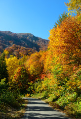 長野　鬼無里　奥裾花渓谷の紅葉