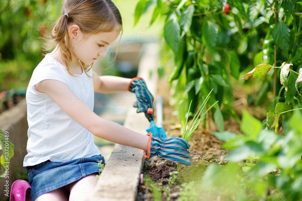 Wall mural adorable little girl wearing straw hat playing with her toy garden tools in a greenhouse