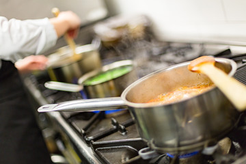 Cook Cooking in Kitchen Chef