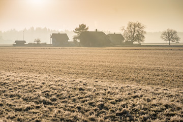 frostiger Wintermorgen über dem Schweizer Flachland