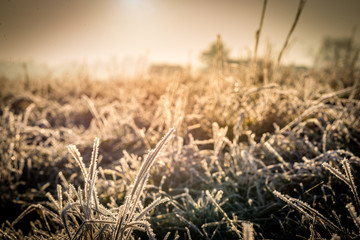 Fototapeta premium Wintermorgen über dem Schweizer Flachland