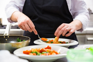 Cook Cooking in Kitchen Chef