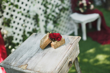 Beautiful wedding ceremony in the park