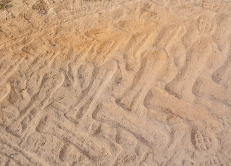 Fototapeta na wymiar Wheel track in the sand