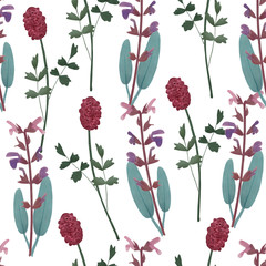 Cute floral seamless pattern with herbs. Sage, salvia officinalis and burnet, sanguisorba. Watercolor background with wild flowers. - obrazy, fototapety, plakaty