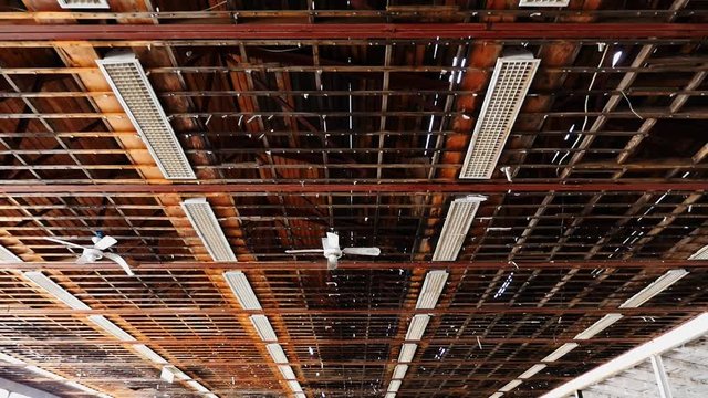 Exposed ceiling framing in an abandoned warehouse with a leaky roof